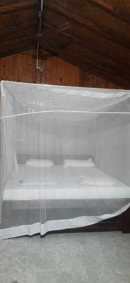 Fernandes Bar And Restaurant Bed & Breakfast Canacona Bagian luar foto